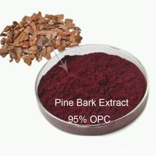 Extrato de casca de pinheiro em pó 95% proantocianidinas oligoméricas casca de pinus pinaster comprar usado  Enviando para Brazil