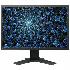 Monitor eizo flexscan usato  Spedire a Italy
