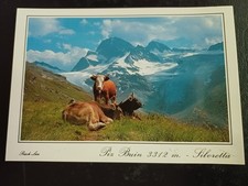 Pix buin silvretta gebraucht kaufen  Schönebeck (Elbe)