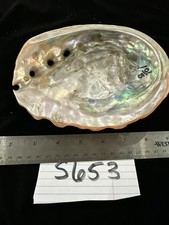 Vintage abalone shell for sale  Warner Robins