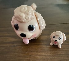 Chubby puppy friends for sale  MANCHESTER