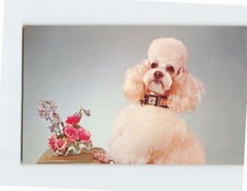 Postcard cute toy for sale  Almond
