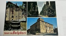 Cartolina saluti bolgheri usato  Genova