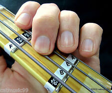 Bass guitar fretboard for sale  COULSDON