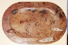 Plat service fossile d'occasion  Pont-l'Abbé