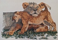 Pride lions lioness for sale  BRISTOL