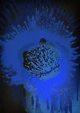 Piene blue sun gebraucht kaufen  Düsseldorf