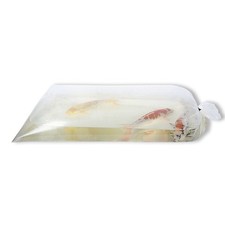 Happykoi koi fisch gebraucht kaufen Happykoi koi fisch gebraucht kaufen  Hamm