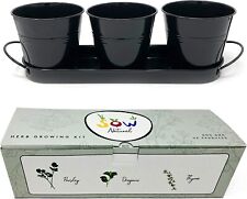 Sow natural herb for sale  ABERDEEN