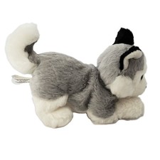 Blue eyed husky for sale  Bristow