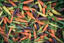Heirloom carrot mix d'occasion  Muzillac