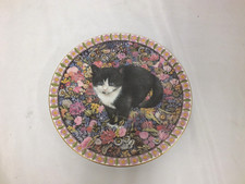 Meet kittens lesley for sale  IPSWICH
