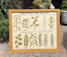 Ancienne affiche scolaire d'occasion  Haubourdin