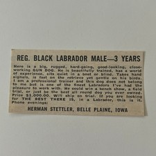 Herman stettler black for sale  Hinckley