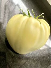 Cuore bue bianco usato  Italia