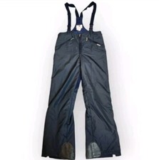 Descente blue ski for sale  Burlington
