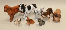pekinese for sale pekinese for sale Overland Park