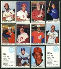 Johnny Bench 1982 AS Game Program Insert comprar usado  Enviando para Brazil