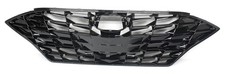 Oem grille 2020 for sale  Green Bay