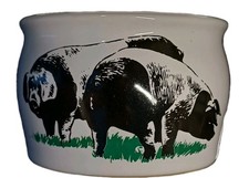 Set dose schüssel gebraucht kaufen  Neubrandenburg