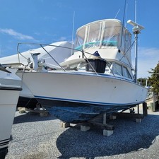 Sale 1976 bertram for sale  Cape May