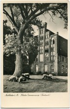 Foto neukloster meckl gebraucht kaufen  Berlin