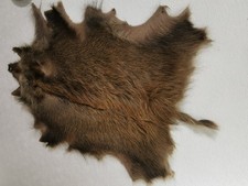Wildschweinfell echtfell jagdt gebraucht kaufen  Ayl, Trassem, Wellen