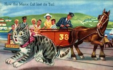 Carte postale chat d'occasion  La Côte-Saint-André