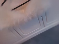 White ivory feather for sale  ILKLEY