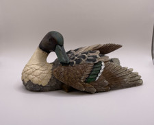 Resin adult drake for sale  Hurst