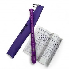 Purple plastic recorder for sale  RUGBY