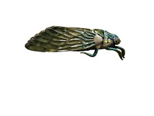 Locust enamel magnetic for sale  Aliso Viejo