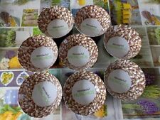 Wonderful pistachios ciotole usato  Monfalcone