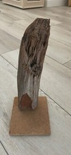 Vintage taxidermy natural for sale  Oviedo