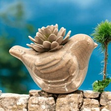 Faux succulent bird for sale  Tempe