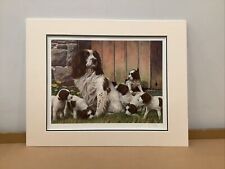 Nigel hemming dads for sale  CHELMSFORD