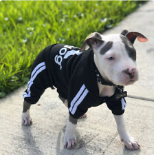 Adidog pull chaud d'occasion  Lille-