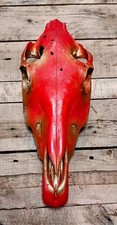 Painted horse skull for sale  New Glarus