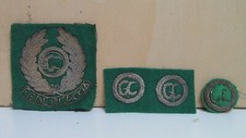 Fregi distintivi guardia usato  Cavour