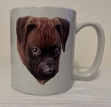 Boxer puppy german for sale  Pittsburgh