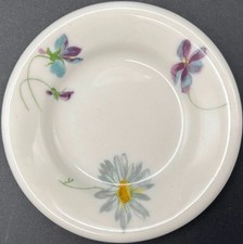 Violets daisies 2 for sale  Lincoln