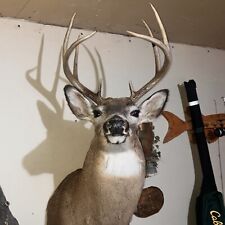 Shoulder mount minn. for sale  Albertville