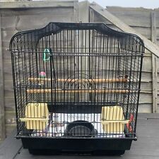 Liberta siam bird for sale Liberta siam bird for sale  HOUNSLOW