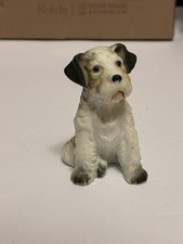 Airedale terrier puppy for sale  Martindale