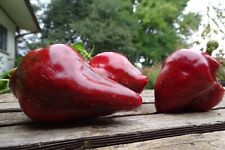 Pimenta doce Leysa - Pimenta exclusiva em forma de coração da Ucrânia comprar usado  Enviando para Brazil