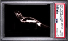 Bearded dragon rare for sale  Lewis Center