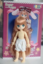 Azone international biscuitina usato  Fabriano