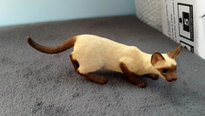 sherratt and simpson cat for sale sherratt and simpson cat for sale NORTHAMPTON