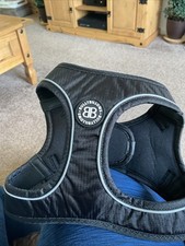 Black bullybillows puppy for sale  WORTHING
