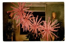Honolulu hawaii royal for sale  Sandusky